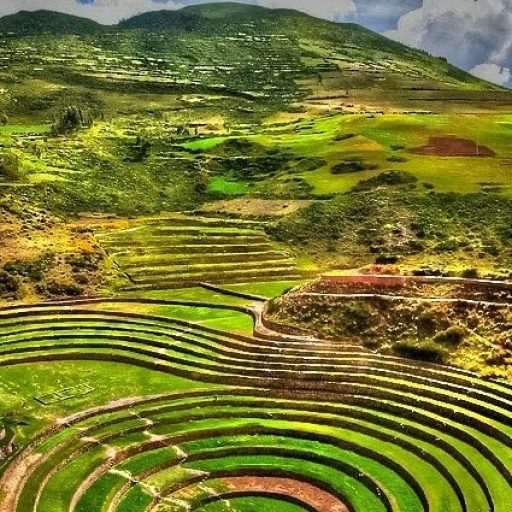 33b56e7e3fd93c146981dc0293dd8195